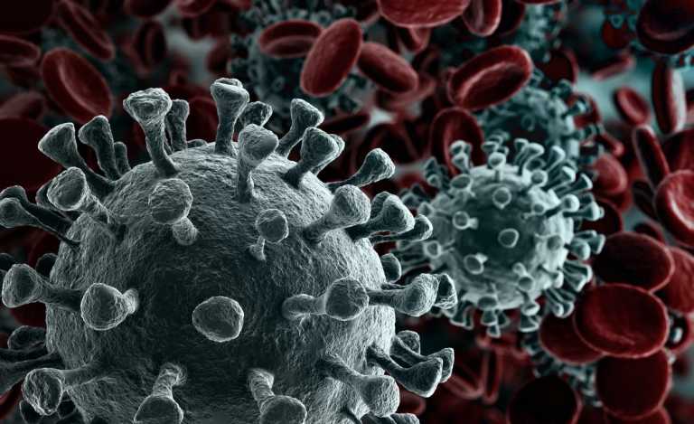 All In One Place: Important Information on Coronavirus (COVID-19)