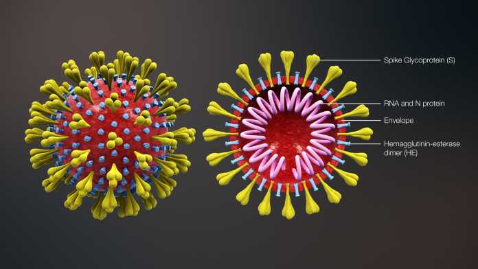 Fear of Corona Virus