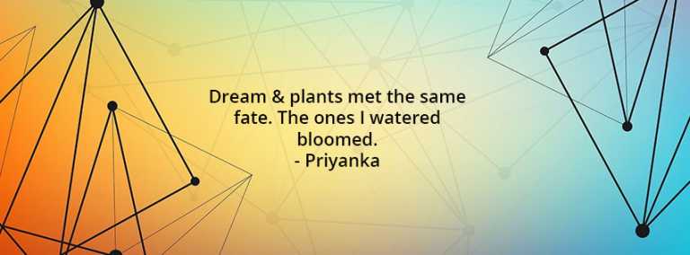 Dream & plants met the same fate. The ones I watered bloomed