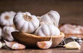 garlic for stomach ulcers
